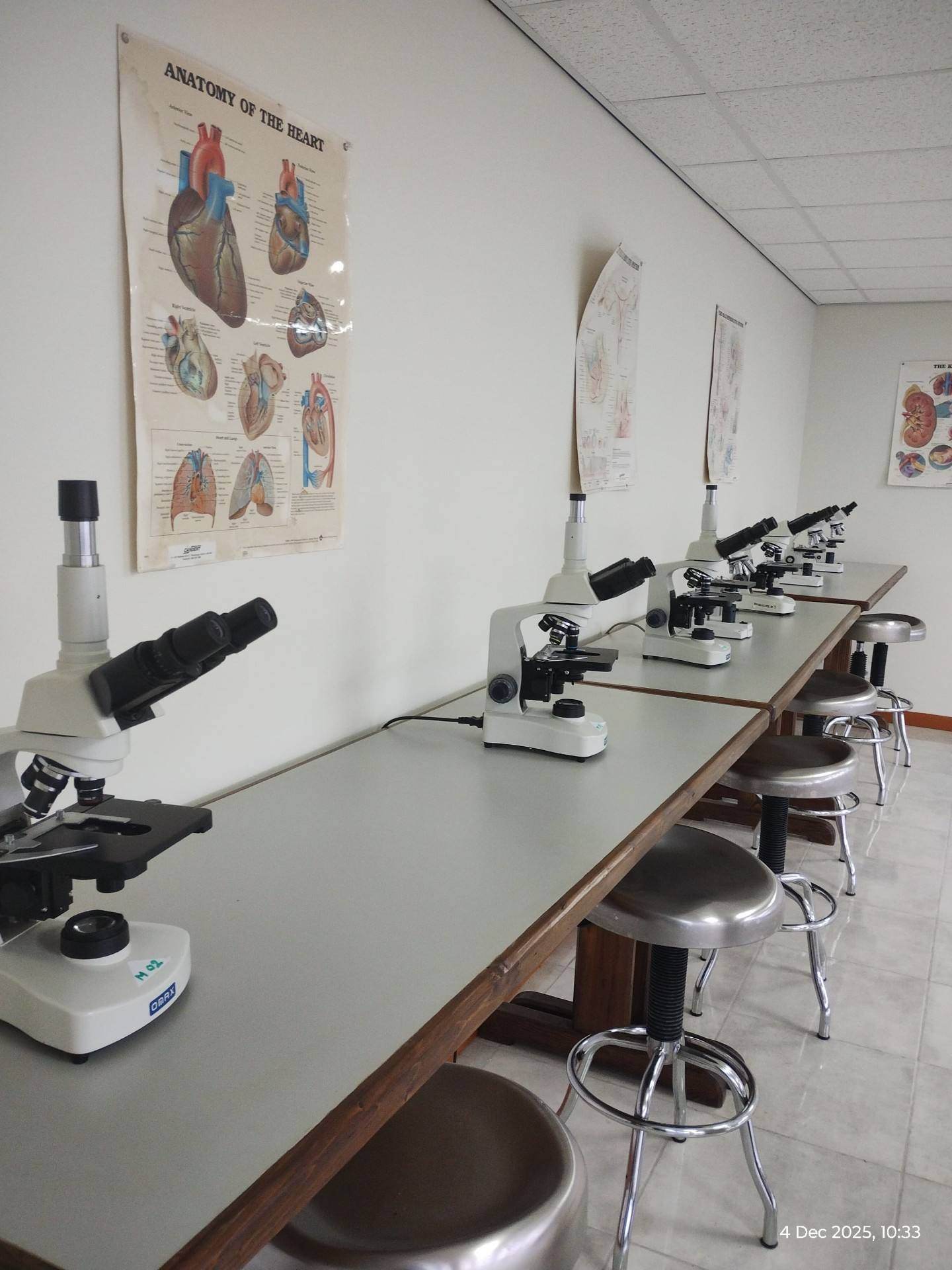 Aureus University anatomy lab with student stations