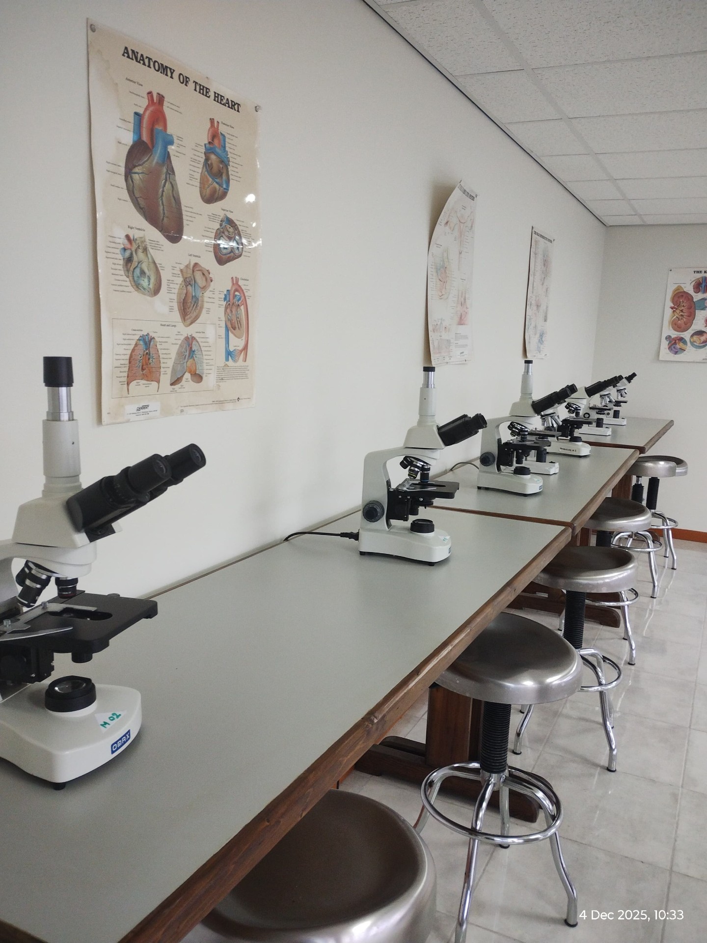 Anatomy lab with microscope stations at Aureus University